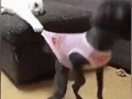 -никуда-не-пойдешь
