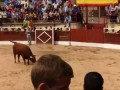 Amazing Bull Jump