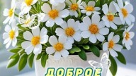 6df04d3e7580e1c7bf364710c292a8fb_cr