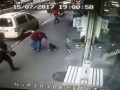 Cat Attacks Dog and his Human