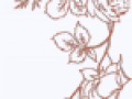 fon_4_5_arnusha