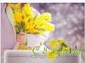 Три-ветки-мимозы-Рамочка_01
