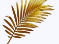 HOJA PALMERA DORADA