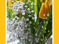 с-днем-рожденья