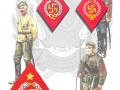 Красная-Армия-всех-сильней-История-геральдика-нашивки