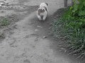 20150524164940