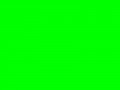 Лайм	#00FF00	0	255	0