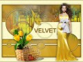 Velvet - 3