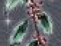 fon_5_7_arnusha