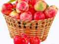 basket-of-apples-1449448258n0TПлеер