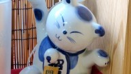 Bluewhitemanekineko-jan2015