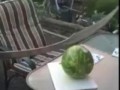 Ali cuts the watermelon