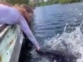 fish bite