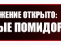 Lucky Jack копия