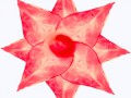 55на полусферу розов цветок