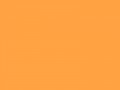 Неоново-морковный	#FFA343	255	163	67