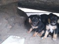IMG_20160720_143749