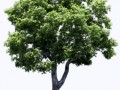 cliparts10