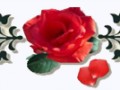 4__arnusha