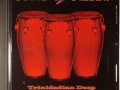 Trinidadian Deep - Drums Of Passion