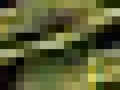 28_6