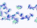 1__arnusha