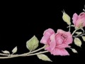 2__arnusha