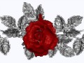 _9