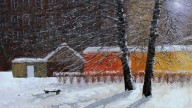 свет
