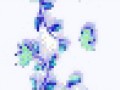 1_3_arnusha