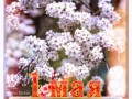 -1-мая-Рамочка_01