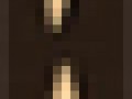 4_8_1