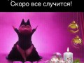 хрю-хрю