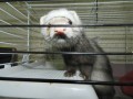DSCN0943