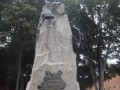 SDC12794
