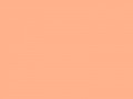 Светлый желто-розовый	#FFB28B	255	178	139