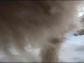 Siberian cats, Snowfall, Lapochka, Solnyshko, Pooh 2015 Сибирские кошки, Снегопад, ЯНВАРЬ