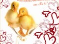 73591290_card15