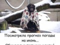 image (5)