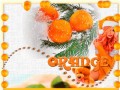 -Orange-(1)_01