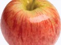 apple_PNG12408