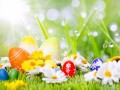 Easter_Holidays_Camomiles_Eggs_Drops_520086_1280x853