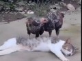 Когда пришел на процедуры.