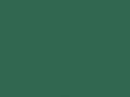Патиново-зеленый	#316650	49	102	80