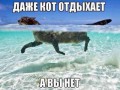 Vg2b5GHr0Lo