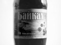 Baikal_old