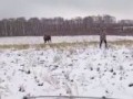 охота