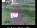 Gazony