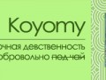 Koyomy0