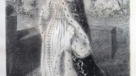 Celliez_colection_-_Bertrada_of_Laon